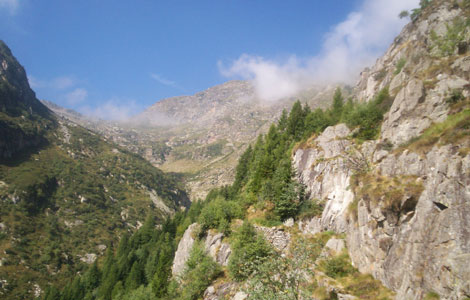 Colle della Gragliasca (Valle Cervo): mulattiera e colle