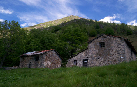 Monte Cucco (Valle Oropa): Pian del Loto e, sullo sfondo, il Cimone
