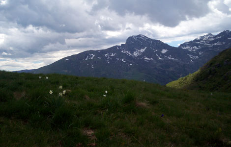 Monte Cucco dal pian del Loto (Valle Oropa): costa Muanda, colle del Limbo, monte Mucrone e monte Rosso