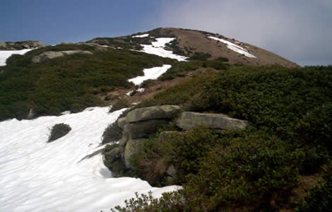 Punta Dormiolo (Val Sessera): 
cresta terminale del Dormiolo