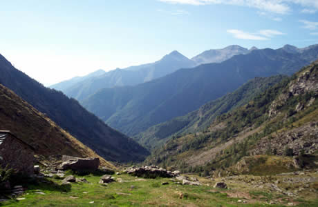 Punta Tre Vescovi (valle Cervo): vallone della Mologna