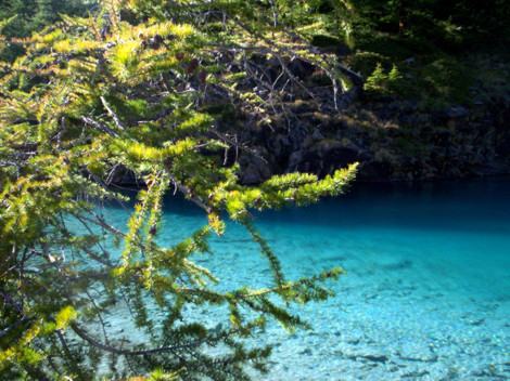 lago Bleu: il verde degli alberi ed il blu del lago