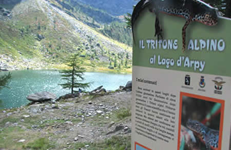 Lago d'Arpy