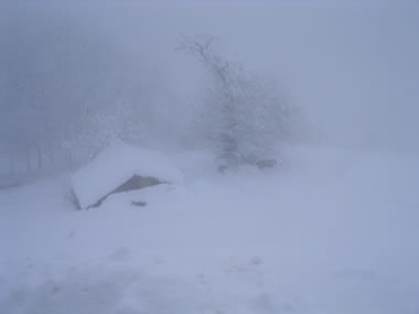 un'abbondante nevicata sul Biellese 2