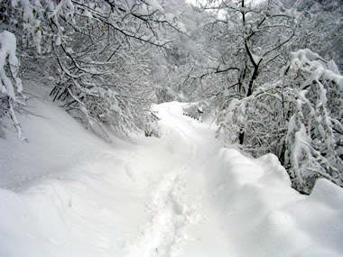 un'abbondante nevicata sul Biellese 3