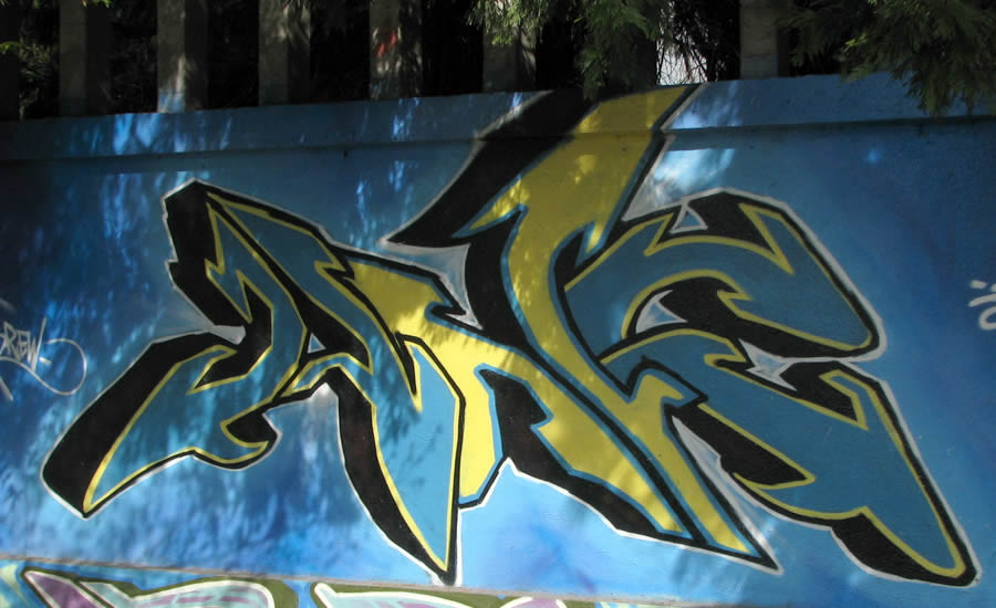 Biella, i graffiti dello stadio 5