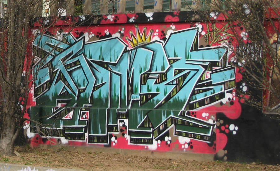 Biella, i graffiti dello stadio 8