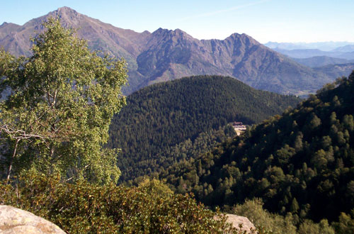 Bocchetta Margrosio - Monte Civetta (Val Sessera): 
San Bernardo vista sulla bocchetta dello Stavello