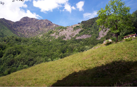 Bele(valle Cervo): parete nord del Monte Tovo  

