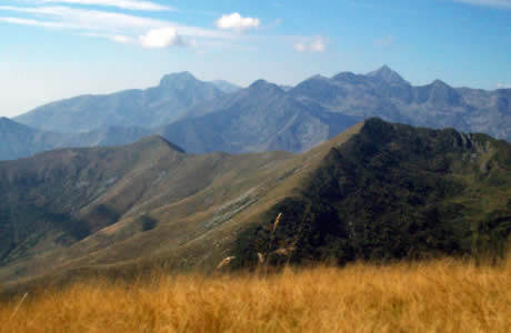 Cima dell'Asnass (Val Sessera): 
Verso le montagne della valle Oropa