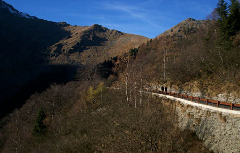 Colle della Colma - Monte Becco (Valle Oropa): La strada del rientro
