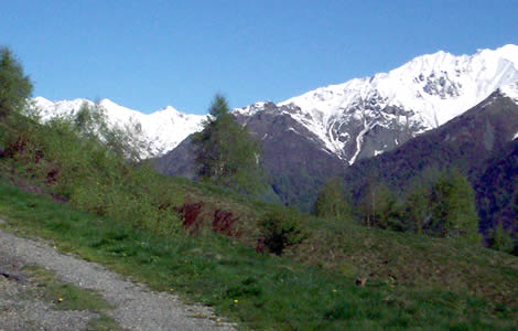 Monte Cucco - Oropa (Valle Oropa): verso la valle del cervo