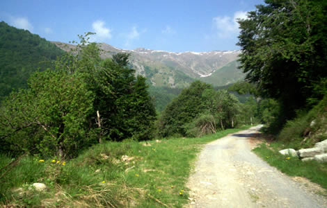 Punta Dormiolo (Val Sessera): 
prima parte di strada e sullo sfondo la testata della       
Valsessera