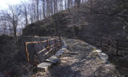 Il sentiero del ternino (Valle Oropa): ponte lungo il tracciato 