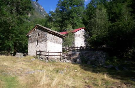 Colle Turrison o del Lupo (Valle Cervo): alpe Pianlino