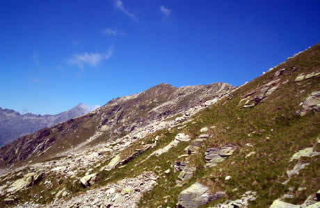 Colle Turrison o del Lupo (Valle Cervo): verso il monte Cresto