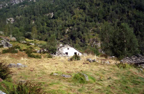 Colle Turrison o del Lupo (Valle Cervo): alpe Olmo